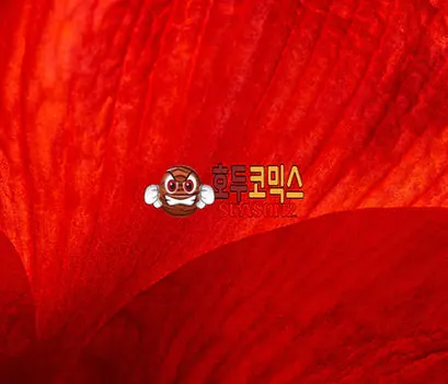 붉은 추상 무늬와 호두코믹스 로고